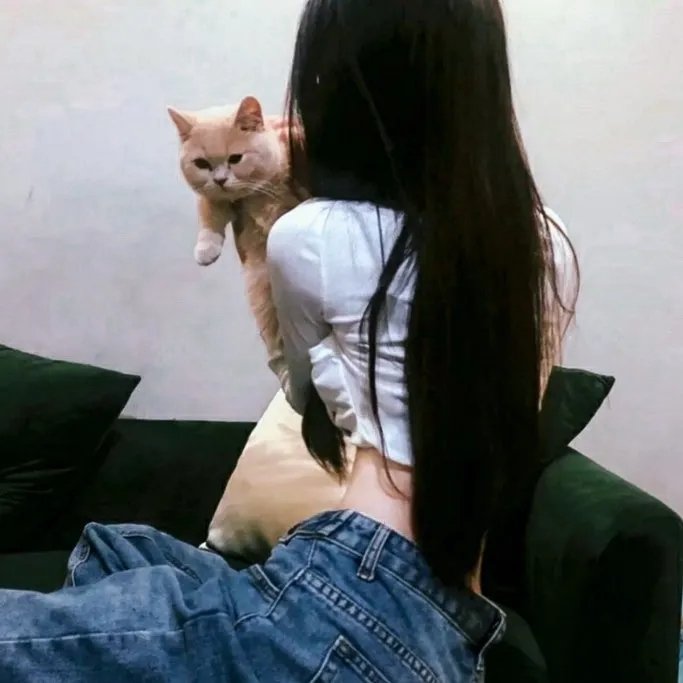 蚂蚁的梦想